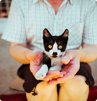 Don’t worry your pets are in good hands