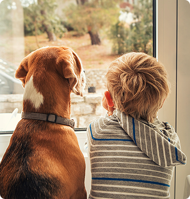 Shelter and feed animals that are in need