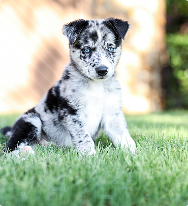 Regular Health Checkups