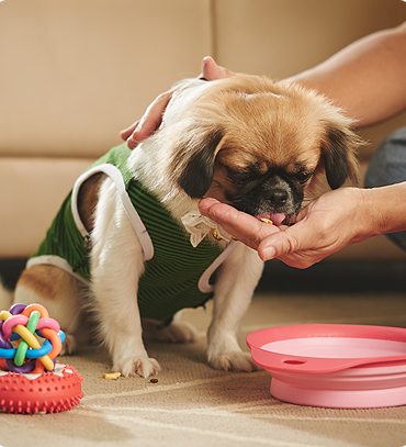 Regular Health Checkups