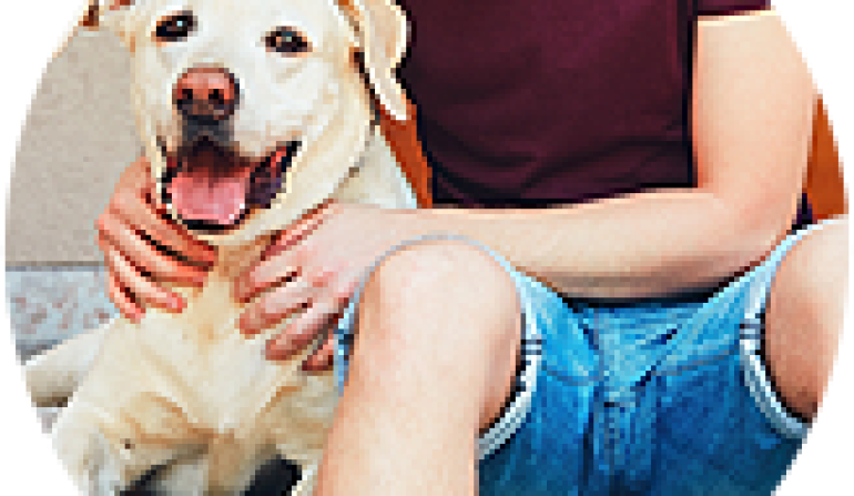 Pets Cleaning & Plucking