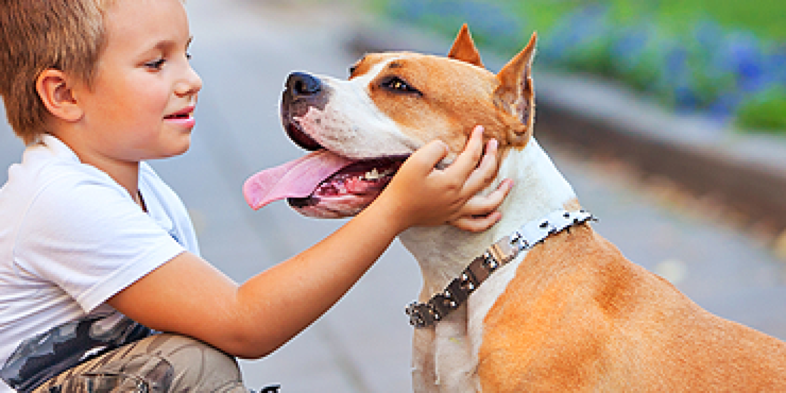 Dog walking helps keep your dog sane